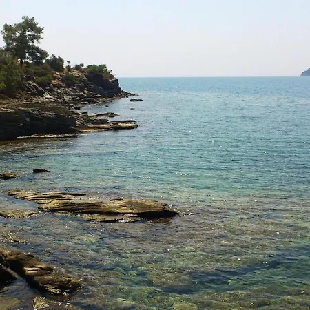 Euphoria House Palaiontsiflikion